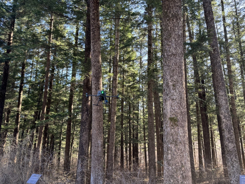 3D 기술 콘텐츠 1 이미지